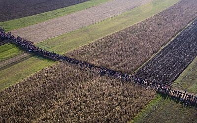 In this aerial view photo, a column of migrants moves through fields after crossing from Croatia, in Rigonce, Slovenia, Sunday, Oct. 25, 2015. Thousands of people are trying to reach central and northern Europe via the Balkans, but often have to wait for days in mud and rain at the Serbian, Croatian and Slovenian borders. (AP Photo/Darko Bandic)