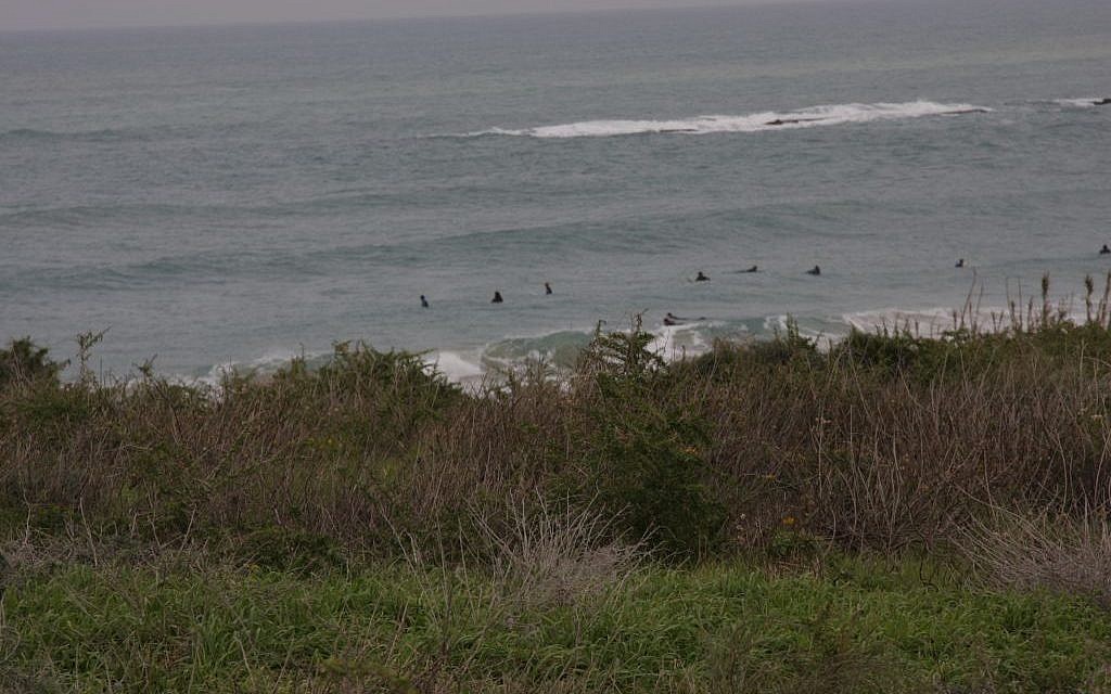 Swimmers brave the waters at Palmachim (Shmuel Bar-Am)