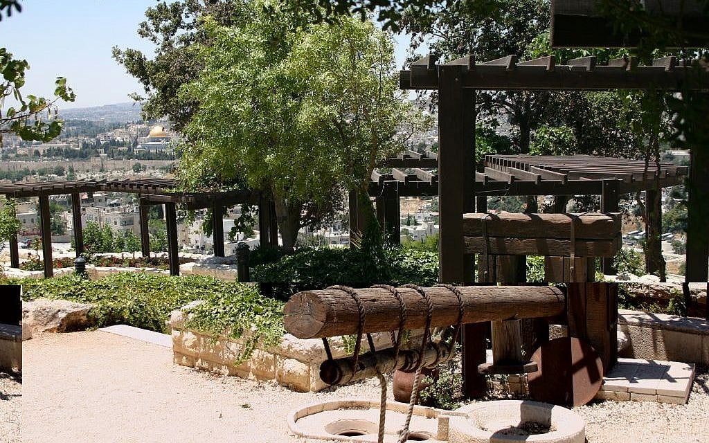 The biblical garden at Brigham Young University’s Jerusalem Center (Shmuel Bar-Am)