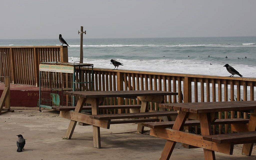 The picnic site at Palmachim (Shmuel Bar-Am)