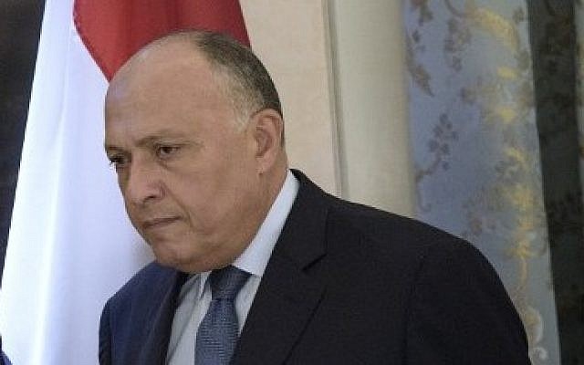 Egyptian Foreign Minister Sameh Shoukry on October 30, 2015 (Brendan Smialowski/AFP)