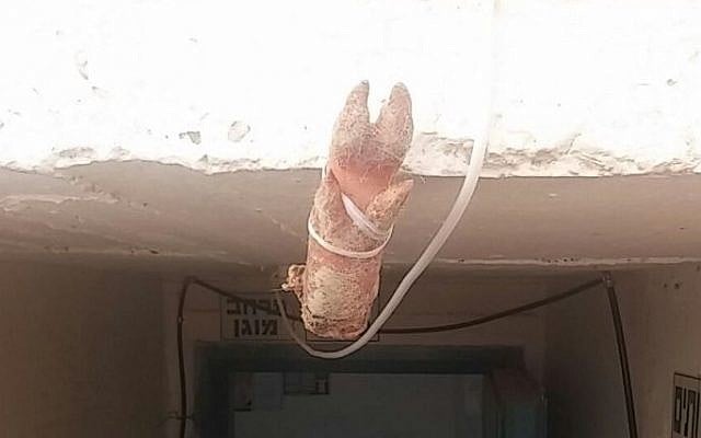 Pig's foot tied to the entrance of a synagogue in Arad, southern Israel, found by police on November 25, 2015. (Israel Police) Pig's foot tied to the entrance of a synagogue in Arad, southern Israel, found by police on November 25, 2015. (Israel Police)