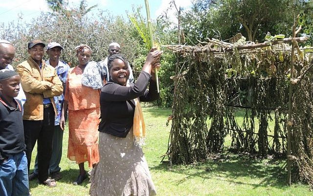 Shoshana Wanjiru, the oldest daughter of Ruth and Yosef, shakes the lulav and etrog for the first time during Sukkot in October 2015. (Melanie Lidman/Times of Israel)