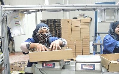 Two Palestinian woman pack dates at a packing plant on November 11, 2015 in the Jordan Valley region of the West Bank. Under new EU labeling guidelines, if these dates are exported to the EU they will need to be labeled as 'products from the West Bank (Israeli settlement).' (Melanie Lidman/Times of Israel) Two Palestinian woman pack dates at a packing plant on November 11, 2015 in the Jordan Valley region of the West Bank. Under new EU labeling guidelines, if these dates are exported to the EU they will need to be labeled as 'products from the West Bank (Israeli settlement).' (Melanie Lidman/Times of Israel)