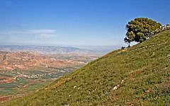 Mount Kabir and the Tirza Valley in the northern West Bank. (Tamar Hayardeni/Wikimedia Commons)