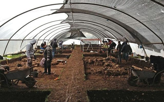 Excavations at Ahihud, in the Lower Galilee, where the oldest domesticated fava beans were found. (Yaron Bibas, Israel Antiquities Authority) Excavations at Ahihud, in the Lower Galilee, where the oldest domesticated fava beans were found. (Yaron Bibas, Israel Antiquities Authority)