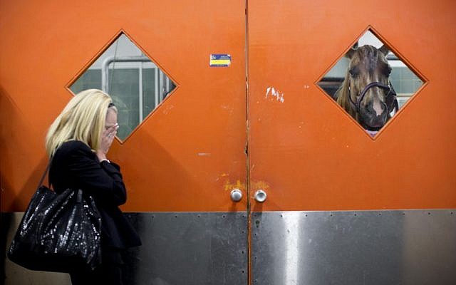 In this Wednesday, Nov. 25, 2015 photo, a horse owner waits outside the clinic as veterinarians examine her horse at the Hebrew University's Koret School of Veterinary Medicine in Rishon Lezion, Israel. (AP Photo/Oded Balilty)