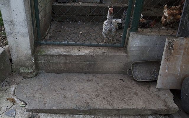 In this picture taken on Monday Oct. 26, 2015, a tombstone lays as a doorstep to a hen house near Prostejov, Czech Republic. (AP Photo/Petr Josek) In this picture taken on Monday Oct. 26, 2015, a tombstone lays as a doorstep to a hen house near Prostejov, Czech Republic. (AP Photo/Petr Josek)