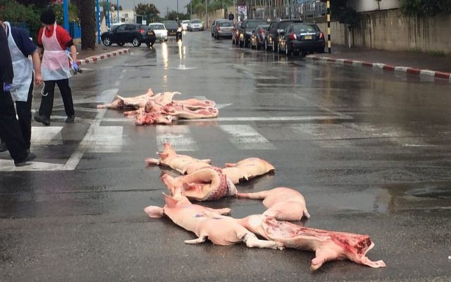 Pig carcasses strewn on a Rishon Lezion city street on December 14, 2015. (Rishon Lezion Municipality spokesperson) Pig carcasses strewn on a Rishon Lezion city street on December 14, 2015. (Rishon Lezion Municipality spokesperson)