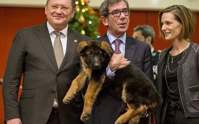 French Ambassador in Russia, Jean Maurice Ripert, holds a puppy, named Dobrynya, as his wife Yael and Russian Deputy Minister of Internal Affairs, Igor Zubov, left, smile during a presentation ceremony of the puppy to French police in the French Embassy in Moscow, Russia, Monday, December 7, 2015. (AP/Pavel Golovkin) French Ambassador in Russia, Jean Maurice Ripert, holds a puppy, named Dobrynya, as his wife Yael and Russian Deputy Minister of Internal Affairs, Igor Zubov, left, smile during a presentation ceremony of the puppy to French police in the French Embassy in Moscow, Russia, Monday, December 7, 2015. (AP/Pavel Golovkin)