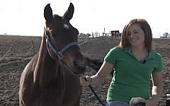 Illustrative: Girl with horse. (YouTube)