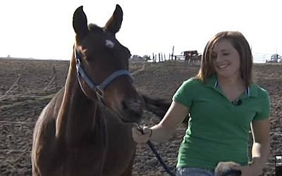 Illustrative: Girl with horse. (YouTube)