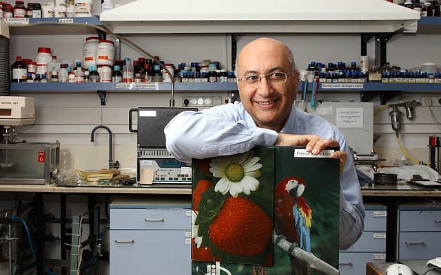 Professor Shlomo Magdassi (Flash 90)