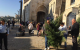 Picking Christmas trees at Jaffa Gate (Jessica Steinberg/Times of Israel)