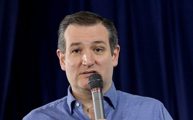 Republican Presidential candidate Ted Cruz speaks at Exeter Town Hall January 20, 2016 in Exeter, New Hampshire. (Darren McCollester/Getty Images/AFP)