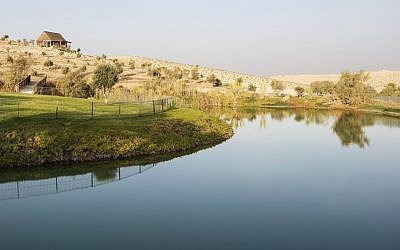 The pond at the Fountain of Youth ranch is used for swimming most of the year and as a meeting point for the local animals (Courtesy Aviad Bar-Ness)
