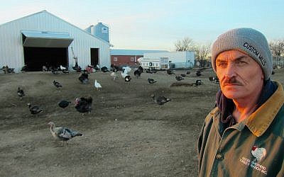 Frank Reese, owner of the Good Shepherd Poultry Ranch in Kansas. (Victor Wishna/JTA)