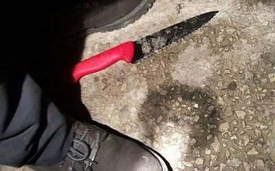 A knife used in a Palestinian stabbing attack in Givat Ze'ev on Wednesday, January 27, 2016 (Foreign Ministry/Twitter)