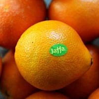 Israeli grown Jaffa Oranges. (GPO)