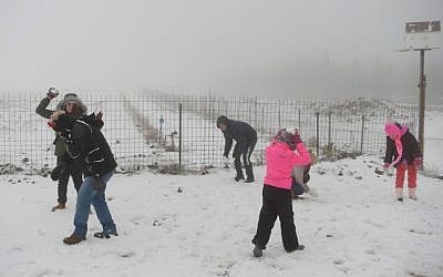 Israelis enjoy the snow on Mount Hermon, during a major winter storm sweeping the country on January 1, 2016. (Photo by Basel Awidat/Flash90) 