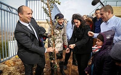 Education Minister Naftali Bennett and Justice Minister Ayelet Shaked plant a tree near a school in the West Bank settlement of Tekoa, January 24, 2016. (Gershon Elinson/Flash90)
