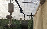 An EdenShield GateKeeper system (Courtesy)