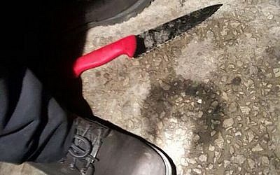 A knife used in a Palestinian stabbing attack in Givat Ze'ev on Wednesday, January 27, 2016 (Foreign Ministry/Twitter)