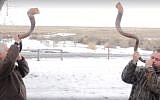 Oregon militia members blow ‘battle trumpet’ shofars in a video uploaded to Facebook on January 20, 2016. (screen capture: Facebook)