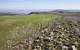 The area near Kfar Hittim in the Galilee where the Israeli government plans to build a new town near historic site, on January 28, 2016. The planned construction of a Druze town, near the site of a historic battle between crusaders and Muslim icon Saladin, may threaten archaeological treasures registered with UNESCO for possible future inclusion on its list of World Heritage sites. (Jack Guez/AFP)