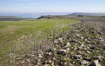 The area near Kfar Hittim in the Galilee where the Israeli government plans to build a new town near historic site, on January 28, 2016. The planned construction of a Druze town, near the site of a historic battle between crusaders and Muslim icon Saladin, may threaten archaeological treasures registered with UNESCO for possible future inclusion on its list of World Heritage sites. (Jack Guez/AFP)