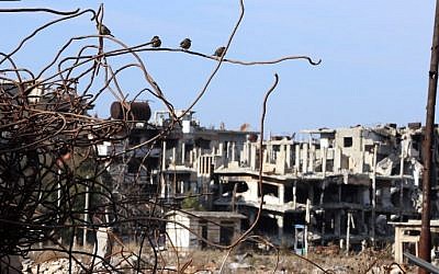 Birds are seen sitting on iron rods from the rubble of destroyed buildings amid heavily damaged buildings in the war ravaged city of Homs on February 5, 2016. (Joseph Eid/AFP)