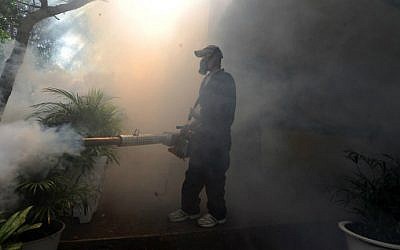 Health ministry personnel fumigate against the Aedes aegypti mosquito, carrier of the Zika virus, in Tegucigalpa, Honduras, on February 1, 2016. (AFP Photo/Orlando Sierra)