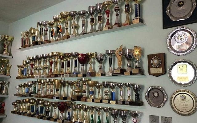 Part of the huge collection of trophies awarded to Myrna Shiboleth and Sha'ar Hagai Kennels (Renee Ghert-Zand/TOI) Part of the huge collection of trophies awarded to Myrna Shiboleth and Sha'ar Hagai Kennels (Renee Ghert-Zand/TOI)