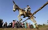 In this Friday, Feb. 5, 2016 picture, Egyptian farmer Ahmed Ayman, 14, rides his trained donkey as he jumps over a barrier in the Nile Delta village of Al-Arid about 150 kilometers north of Cairo, Egypt. (AP Photo/Amr Nabil)