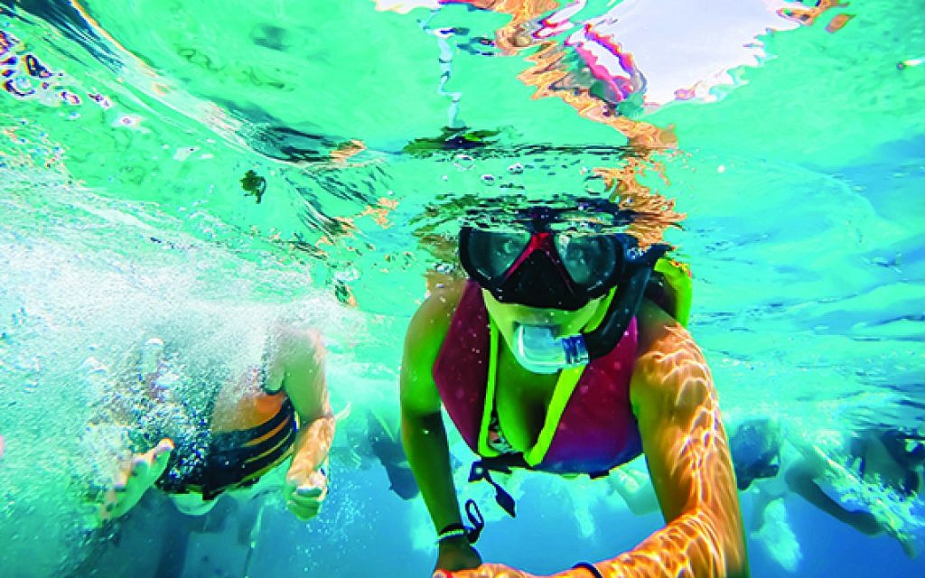 Snorkeling at the reefs in Eilat - explored extensively by the Israel’s Ecosystems program. Photo Credit: Leetal Elmaleh Snorkeling at the reefs in Eilat - explored extensively by the Israel’s Ecosystems program. Photo Credit: Leetal Elmaleh