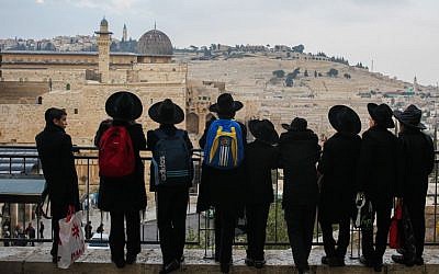 Ultra-Orthodox Jewish men look out over the southern end of the Temple Mount in Jerusalem on December 17, 2015. (Esther Rubyan/FLASH90)