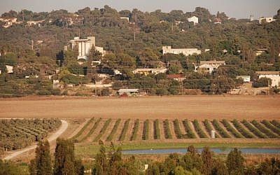 Kibbutz Sha'ar HaAmakim in 2008 (John Dodo/WikiCommons)