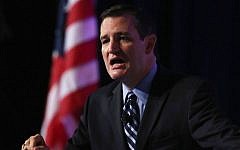 Senator Ted Cruz (R-TX) speaks at the 2014 Values Voter Summit September 26, 2014 in Washington, DC (Mark Wilson/Getty Images/AFP)
