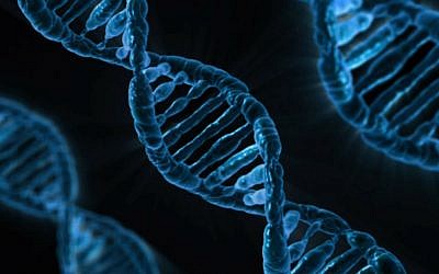 Illustrative image: DNA (Pixabay)