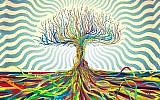 Wisdom Tribe's logo (Courtesy)