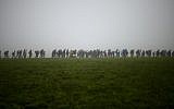 In this Oct. 15, 2015 file photo, a group of migrants make their way over a meadow after crossing the border between Austria and Germany in Wegscheid near Passau, Germany. (AP Photo/Matthias Schrader, file)