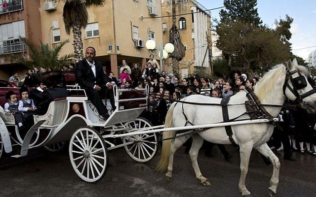 Ultra-Orthodox Jews ride a horse-drawn carriage during the wedding of the grandson of the Rabbi of the Tzanz Hasidic dynasty community, in Netanya, Israel, Tuesday, March 15, 2016. (AP Photo/Oded Balilty)