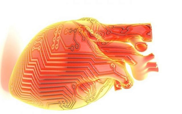 A remotely regulated living bionic heart. (Tal Dvir and Ron Feiner)
