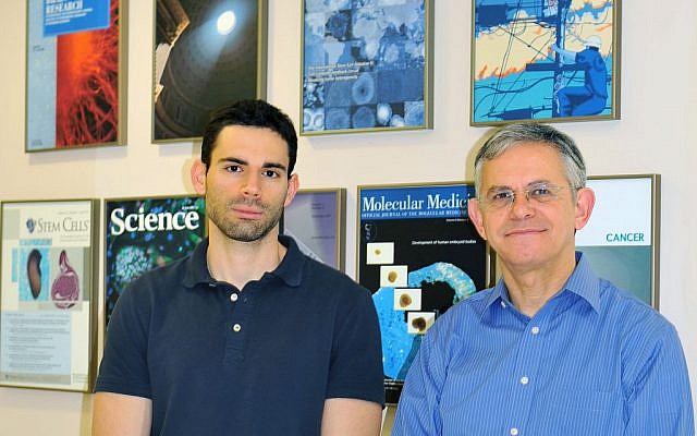 (L to R) Ido Sagi, the PhD student who led the research, and Prof. Nissim Benvenisty, principal co-author of the study and Director of the Azrieli Center for Stem Cells and Genetic Research at the Hebrew University of Jerusalem. (Credit: Hebrew University.) (L to R) Ido Sagi, the PhD student who led the research, and Prof. Nissim Benvenisty, principal co-author of the study and Director of the Azrieli Center for Stem Cells and Genetic Research at the Hebrew University of Jerusalem. (Credit: Hebrew University.)
