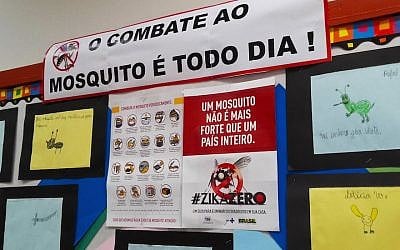At Brazil’s largest Jewish school, the Liessin school, students are participating in the Zika Zero campaign. (Marcus Moraes via JTA)
