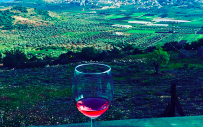 A glass of Lotem's Rose, with the valleys of the Lower Galilee in the background (Jessica Steinberg/Times of Israel)