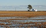 Rice field (Pixabay)