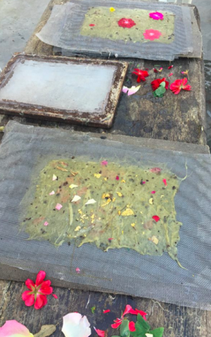 Drying handmade, flower-studded paper at Zichron Yaakov's Tut Niyar workshop (Courtesy Tut Niyar)