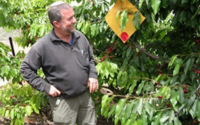 Dr. Nimrod Israeli, CEO of Biofeed, next to one of the company's decoys (Courtesy)