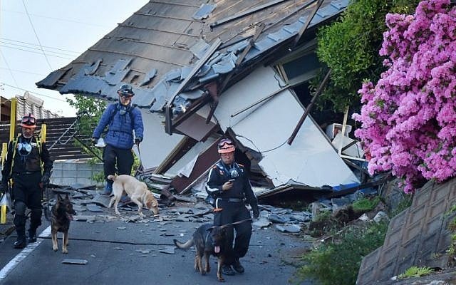 Rescuers and their dogs patrol next to collapsed houses in Mashiki, Kumamoto prefecture after a powerful earthquake in Japan on April 16, 2016. (AFP PHOTO/KAZUHIRO NOGI) Rescuers and their dogs patrol next to collapsed houses in Mashiki, Kumamoto prefecture after a powerful earthquake in Japan on April 16, 2016. (AFP PHOTO/KAZUHIRO NOGI)